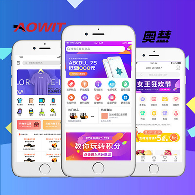 b2c商城系統開發