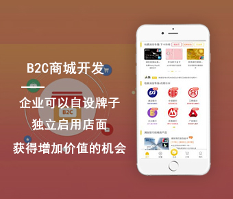 商城系統開發_商城app開發_網站商城開發