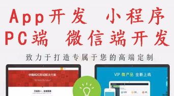 網站建設 b2c商城,微信開發 app 小程序